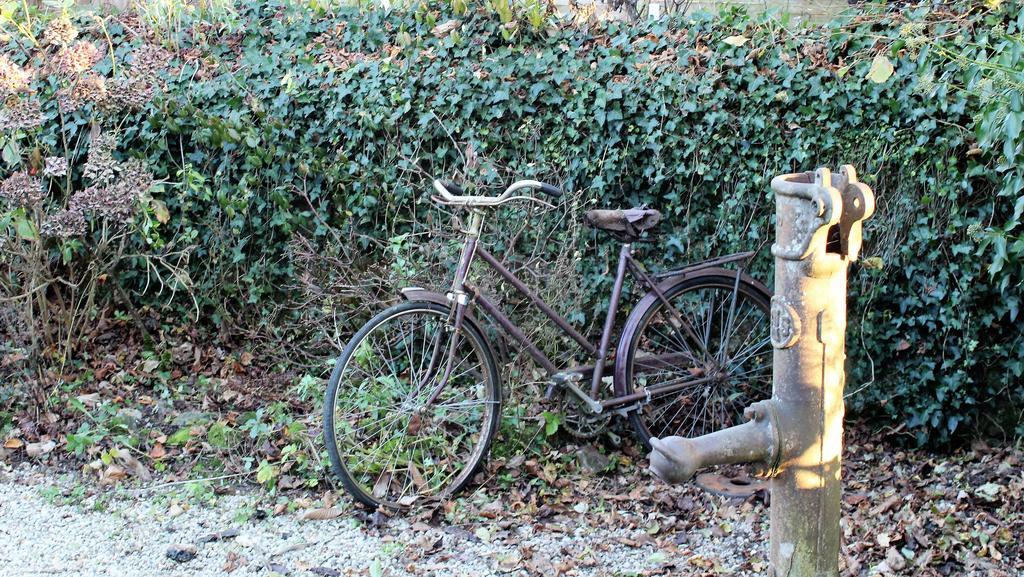 Larchamp La Petite Jeusseliniereヴィラ エクステリア 写真